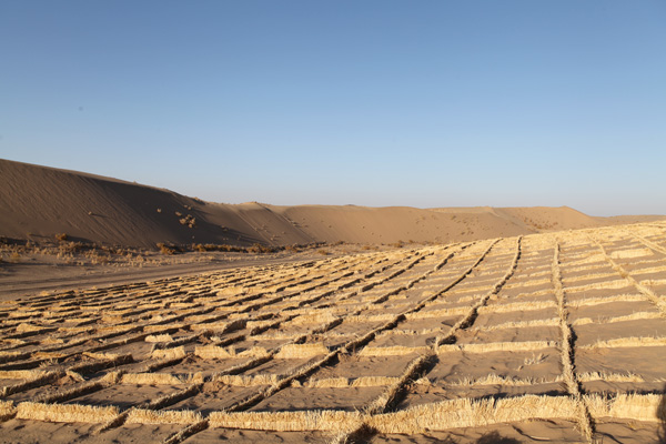 他們，從沙漠中走來……