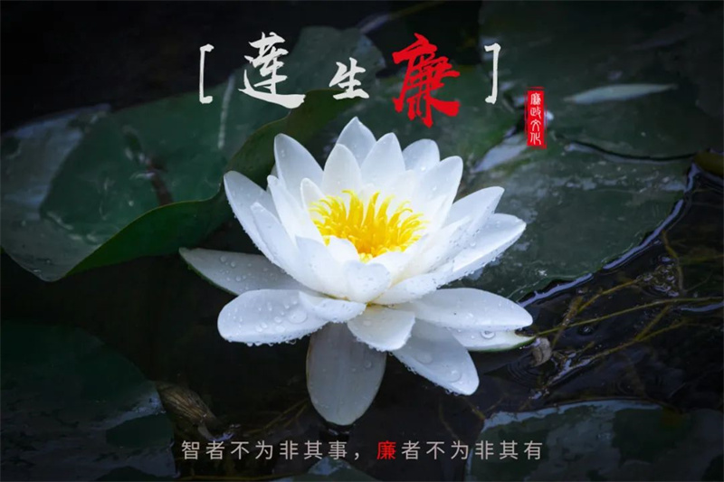 202212161671171781379612.jpg 640 (6).jpg