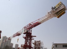 表論QTP315塔式起重機(jī)市場前景